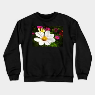 Cosmo Crewneck Sweatshirt